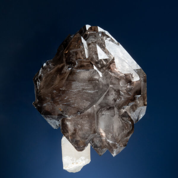 Quartz, var. Smoky Quartz, Sceptre - Image 2